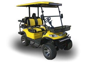 golf cart repair service, celebration cart repair pickup, golf cart inspection